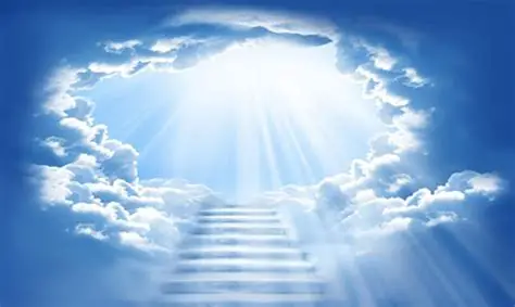 Узбекистан превращается в рай для IT-бизнеса: налоги снижены