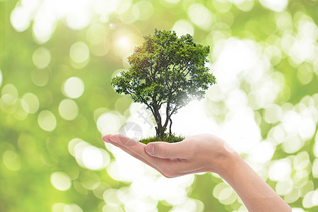 🌿 Ўзбекистонда ҳаво сифати яхшилаш бўйича янги тадқиқот натижалари тақдим этилди